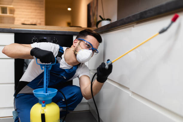 Best Termite Control Services  in Bellevle, IL