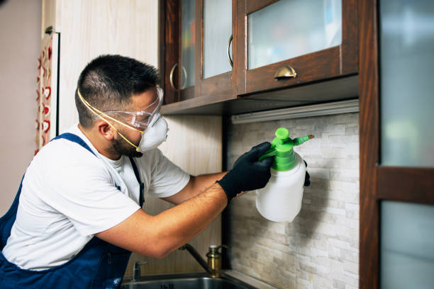 Reliable Belleville, IL Pest Control Solutions
