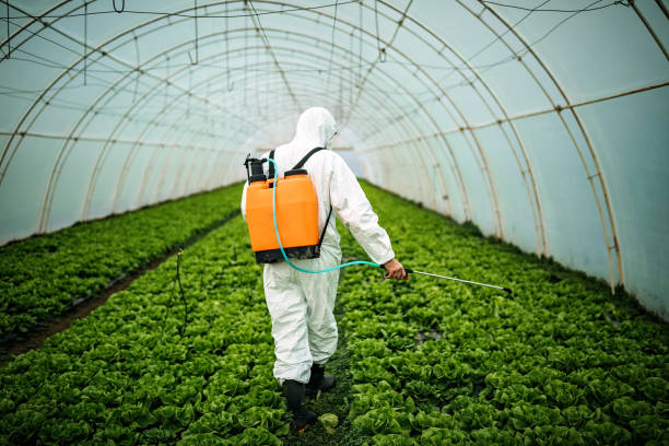 Best Pest Prevention Services  in Bellevle, IL