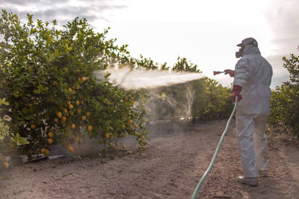 Best Affordable Exterminators  in Bellevle, IL