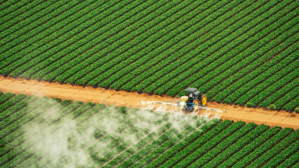 Best Mosquito Control Services  in Bellevle, IL
