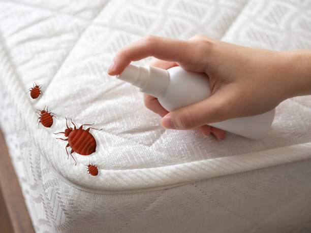 Best Wildlife Control Services  in Bellevle, IL