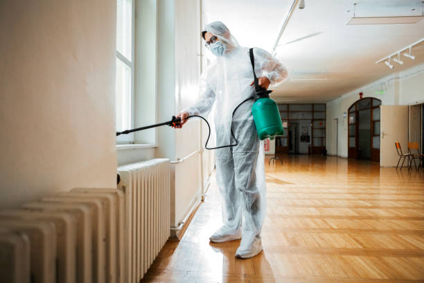 Best Best Pest Control Companies  in Bellevle, IL