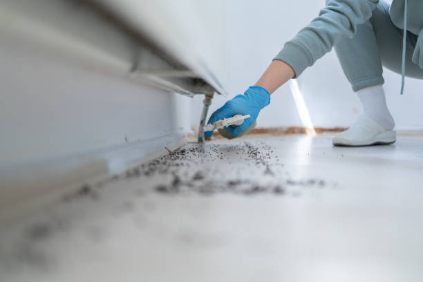 Best Commercial Pest Control Services  in Bellevle, IL