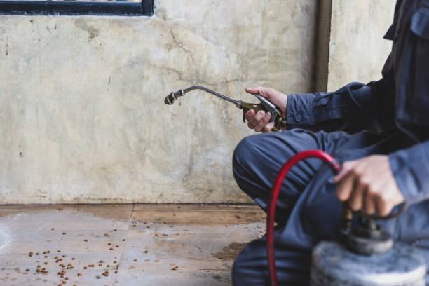 Best Pest Control Near Me  in Bellevle, IL